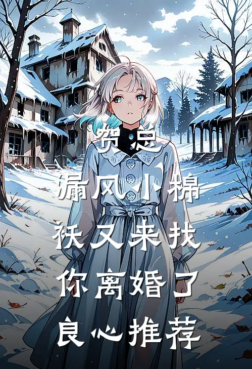 贺总，漏风小棉袄又来找你离婚了良心推荐