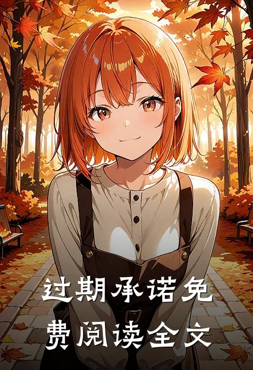 过期承诺免费阅读全文