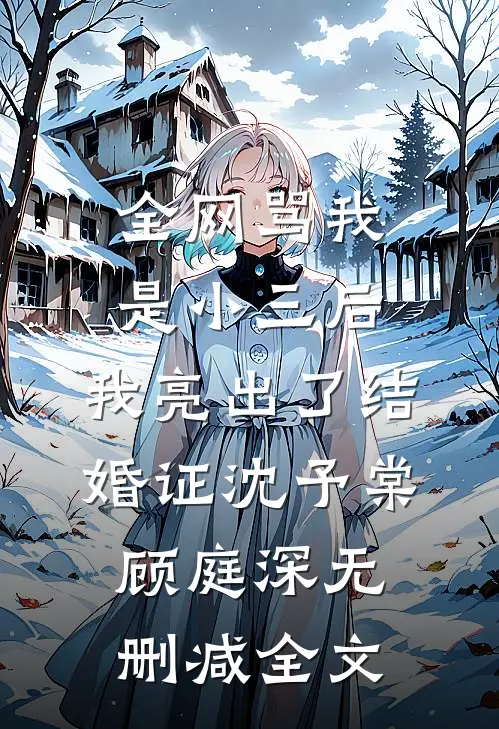全网骂我是小三后，我亮出了结婚证沈予棠顾庭深无删减全文