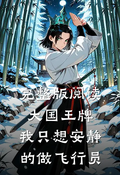 完整版阅读大国王牌，我只想安静的做飞行员