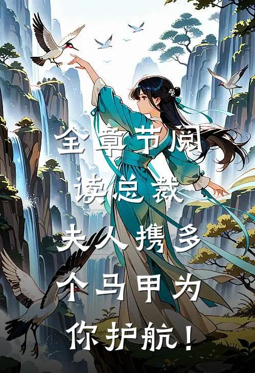 全章节阅读总裁，夫人携多个马甲为你护航！