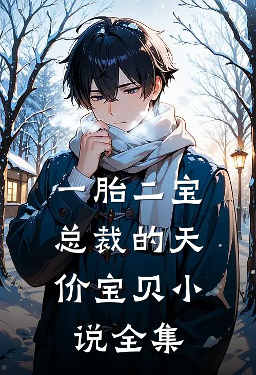一胎二宝：总裁的天价宝贝小说全集