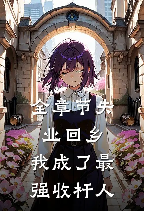全章节失业回乡，我成了最强收杆人