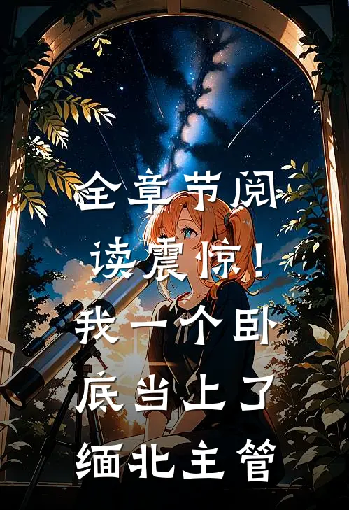 全章节阅读震惊！我一个卧底当上了缅北主管