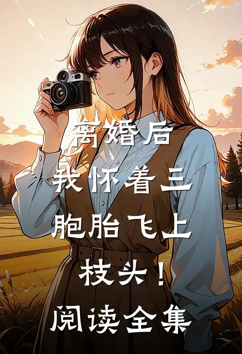 离婚后，我怀着三胞胎飞上枝头！阅读全集