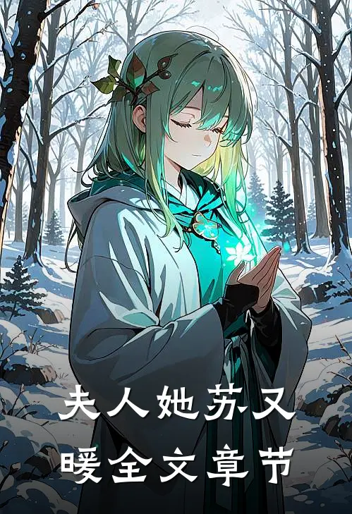 夫人她苏又暖全文章节