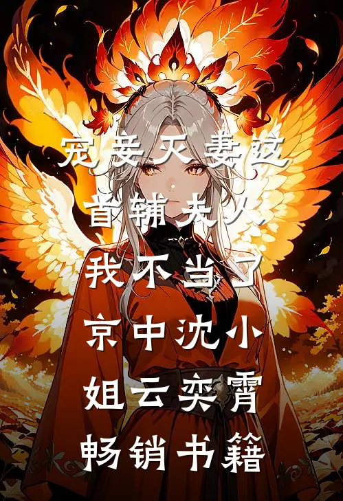 宠妾灭妻这首辅夫人，我不当了京中沈小姐云奕霄畅销书籍