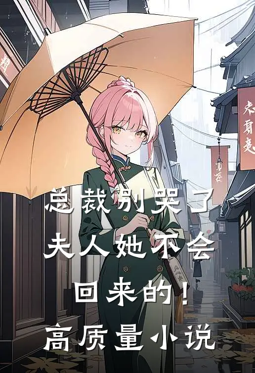 总裁别哭了，夫人她不会回来的！高质量小说