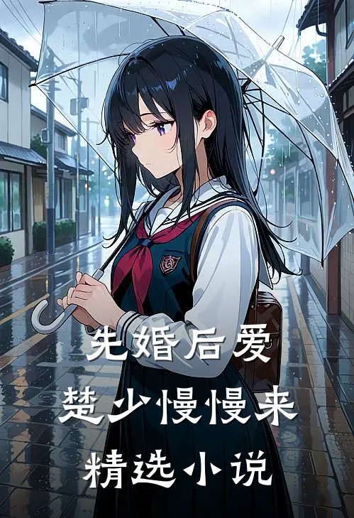 先婚后爱，楚少慢慢来精选小说