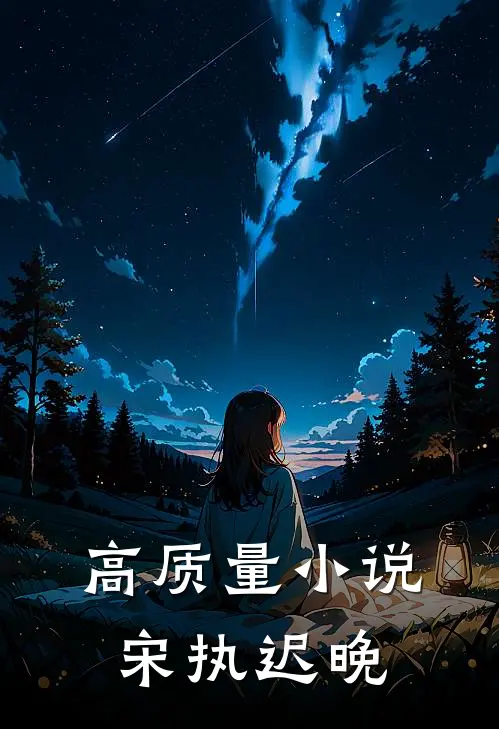 高质量小说宋执迟晚