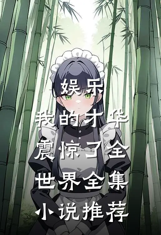 娱乐：我的才华震惊了全世界全集小说推荐