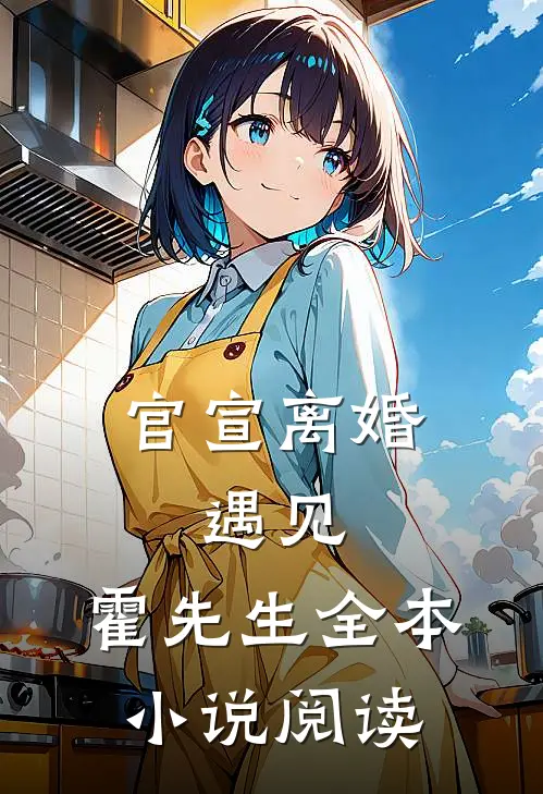 官宣离婚：遇见，霍先生全本小说阅读