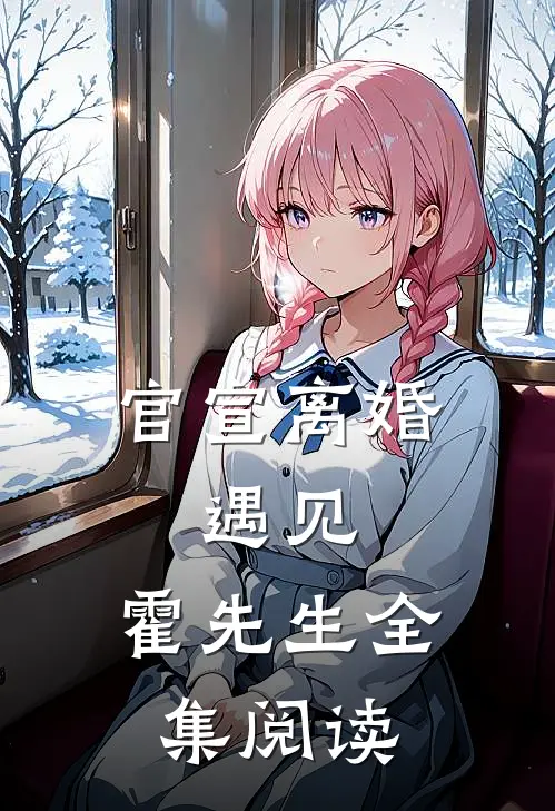 官宣离婚：遇见，霍先生全集阅读