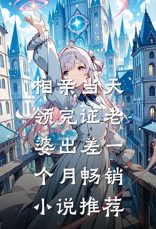 相亲当天，领完证老婆出差一个月畅销小说推荐