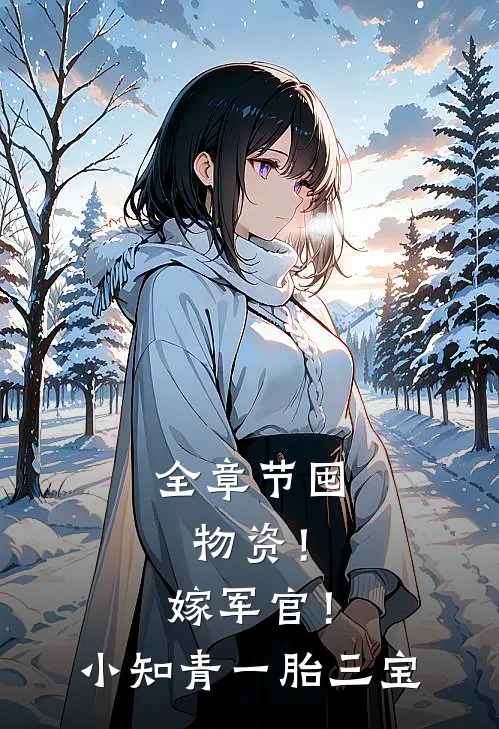 全章节囤物资！嫁军官！小知青一胎三宝