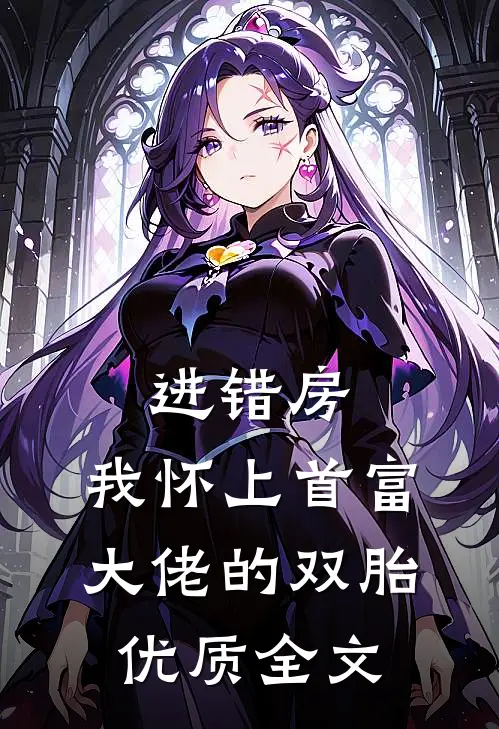 进错房，我怀上首富大佬的双胎优质全文