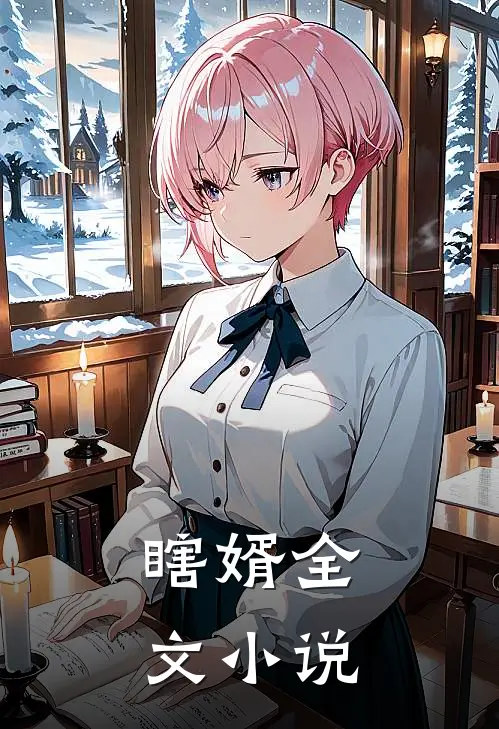 瞎婿全文小说