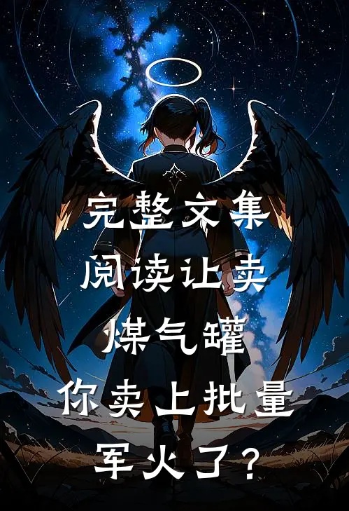 完整文集阅读让卖煤气罐，你卖上批量军火了？