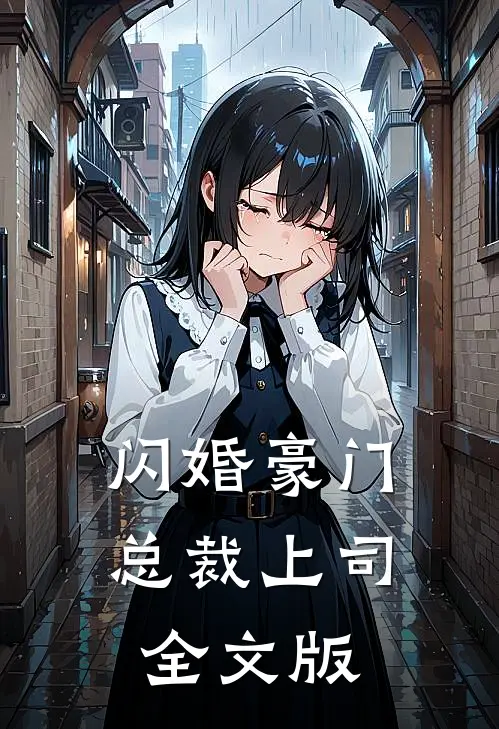 闪婚豪门总裁上司全文版