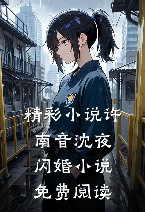 精彩小说许南音沈夜闪婚小说免费阅读