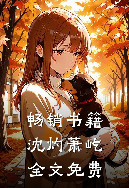 畅销书籍沈灼萧屹全文免费