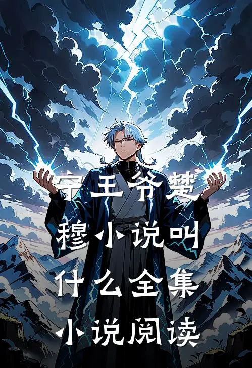 宁王爷楚穆小说叫什么全集小说阅读