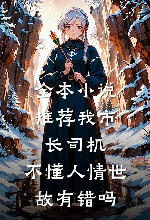 全本小说推荐我市长司机，不懂人情世故有错吗