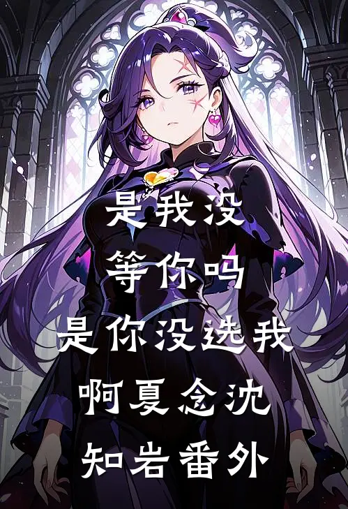 是我没等你吗，是你没选我啊夏念沈知岩番外