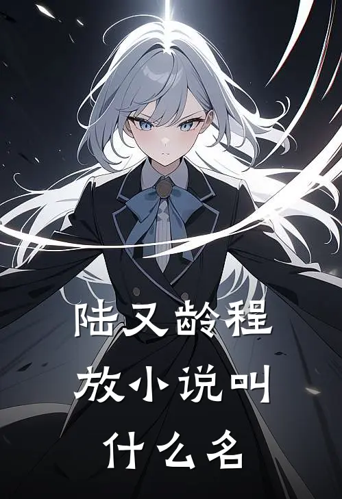 陆又龄程放小说叫什么名