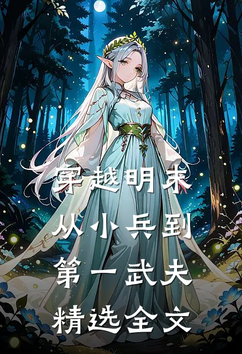 穿越明末：从小兵到第一武夫精选全文