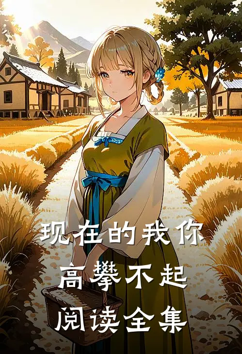 现在的我你高攀不起阅读全集