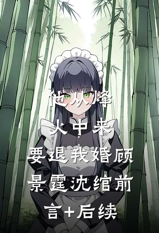 让你勇闯名义，你望父成龙了？完本