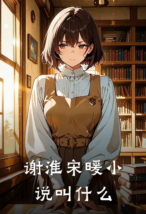谢淮宋暖小说叫什么