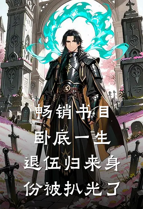 畅销书目卧底一生：退伍归来身份被扒光了