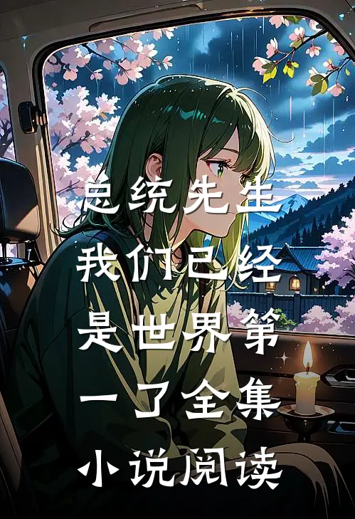 总统先生，我们已经是世界第一了全集小说阅读
