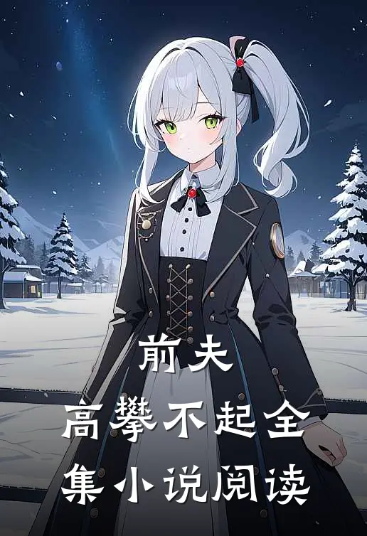 前夫，高攀不起全集小说阅读