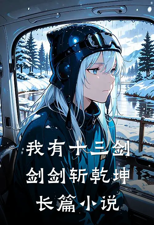我有十三剑，剑剑斩乾坤长篇小说