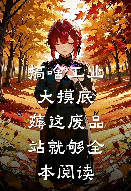 搞啥工业大摸底，薅这废品站就够全本阅读