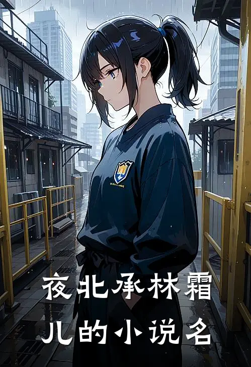 夜北承林霜儿的小说名
