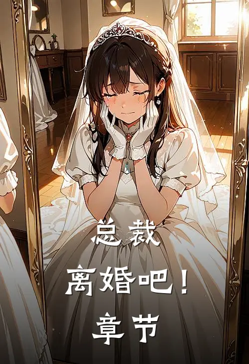 总裁，离婚吧！章节