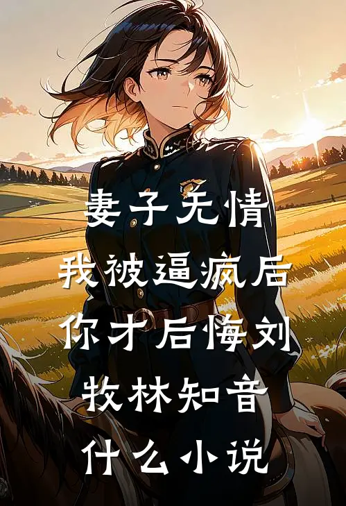 许你一场流星愿已完结版