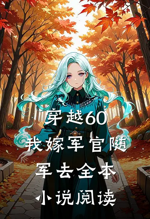 穿越60：我嫁军官随军去全本小说阅读