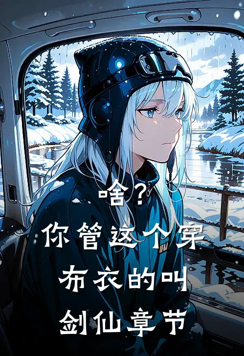 啥？你管这个穿布衣的叫剑仙章节