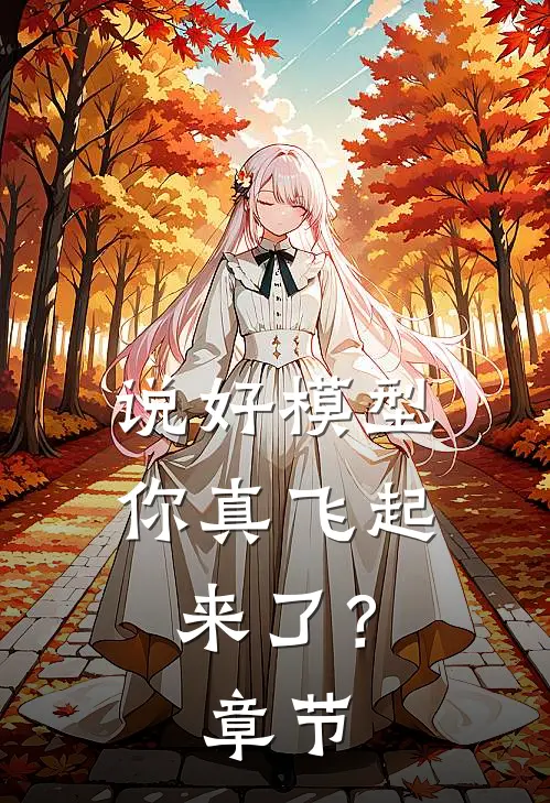 说好模型，你真飞起来了？章节
