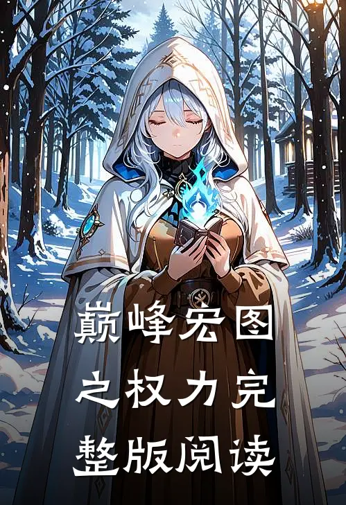 巅峰宏图之权力完整版阅读