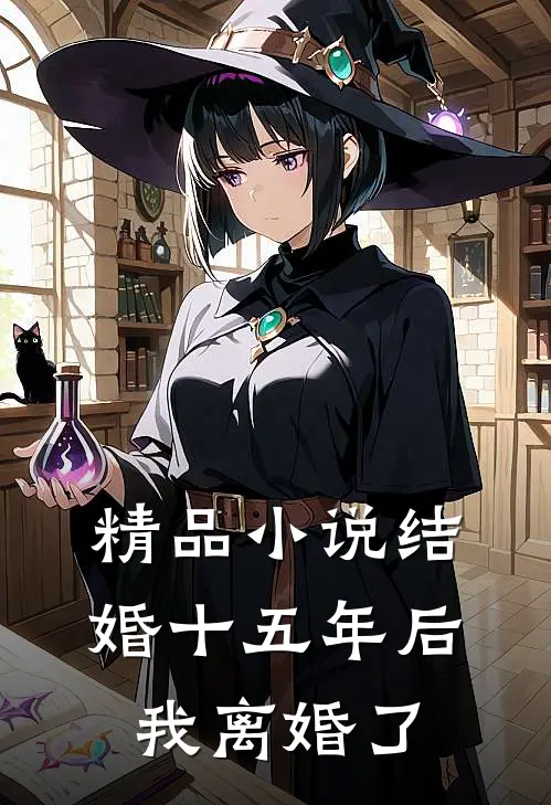 精品小说结婚十五年后，我离婚了
