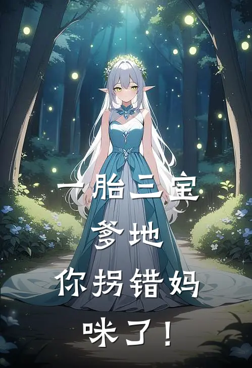 一胎三宝：爹地，你拐错妈咪了！