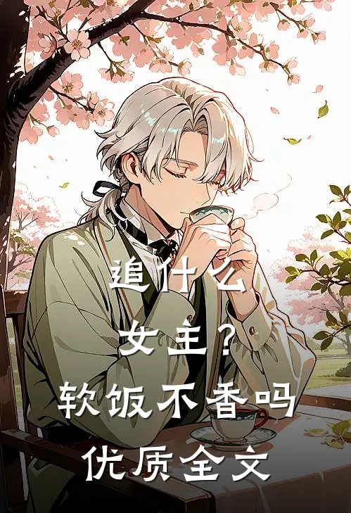 追什么女主？软饭不香吗优质全文