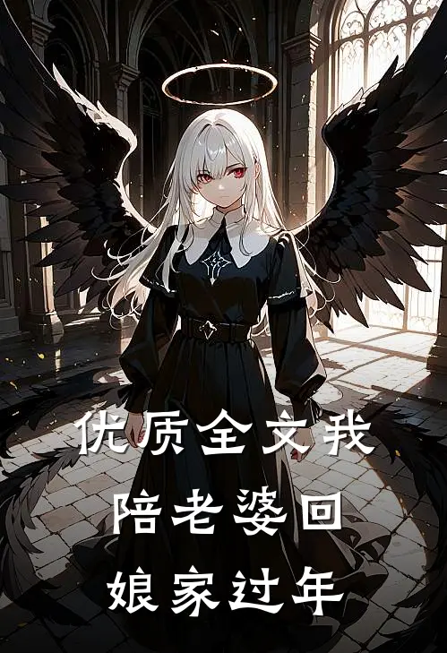 优质全文我陪老婆回娘家过年