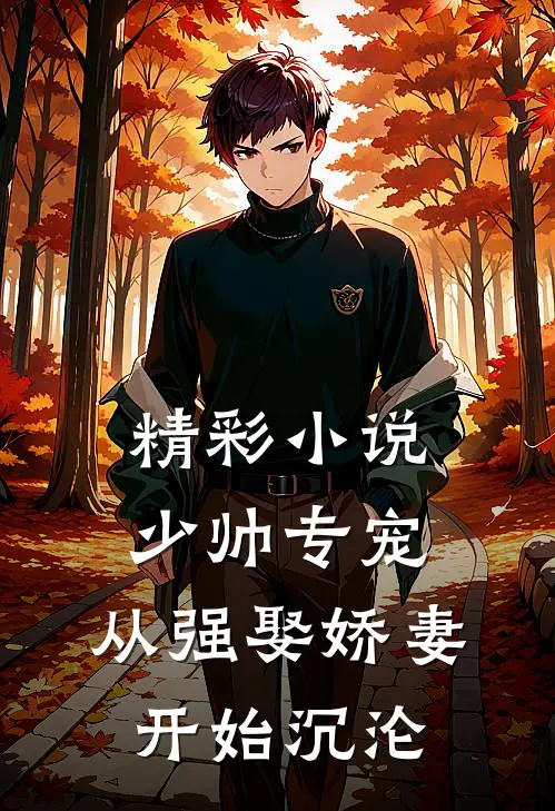 精彩小说少帅专宠：从强娶娇妻开始沉沦